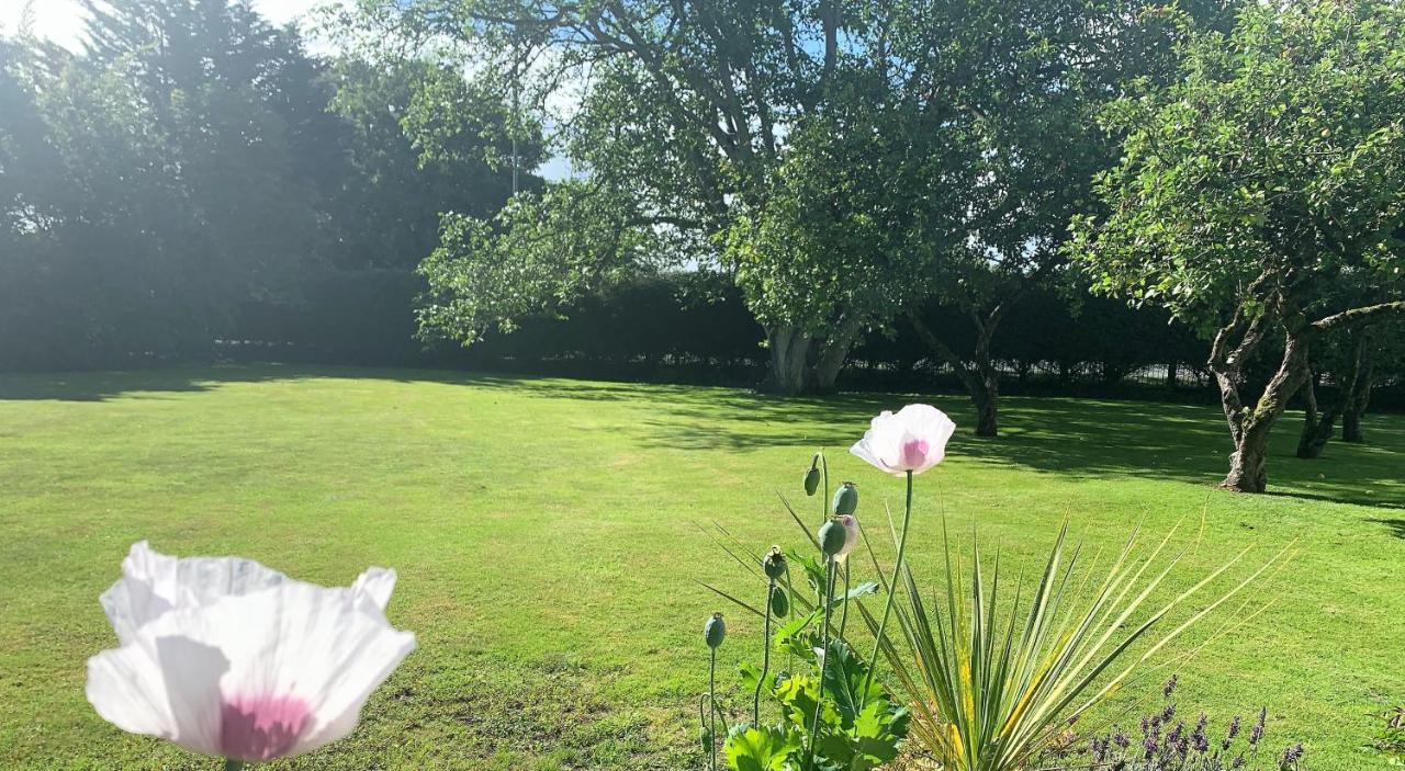Hope Orchard Bed&Breakfast Cheltenham Exterior foto
